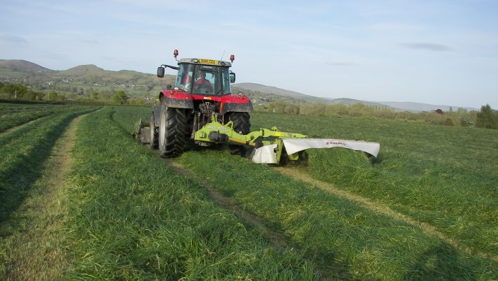 Tonnes of ryegrass and red clover being mown for silage on 21st May at Ben Beddoes farm in Powys.